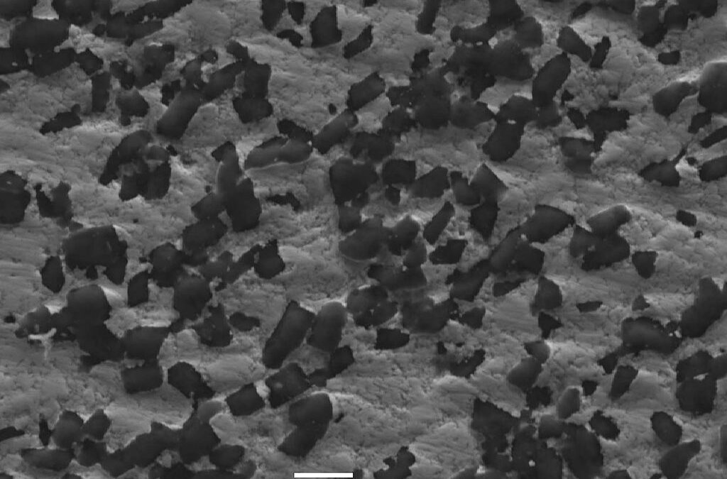 Polycrystalline-Diamond-in-a-Cobalt-Matrix SEM Image